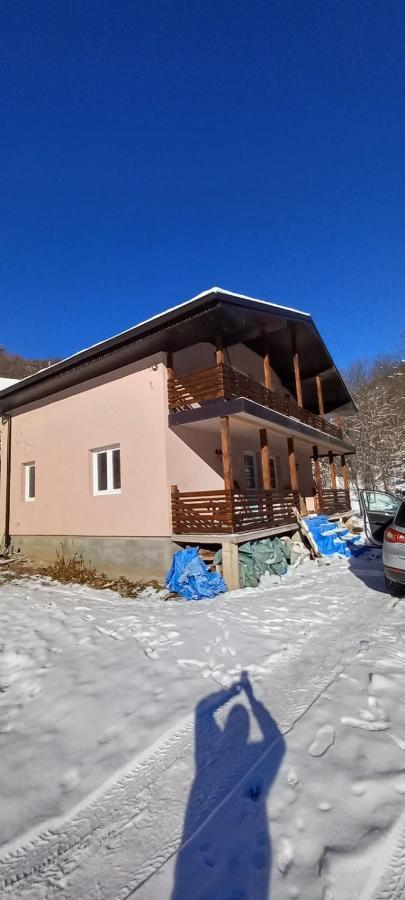 Vila Nika Crni Vrh Εξωτερικό φωτογραφία